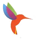 Timeline Bird